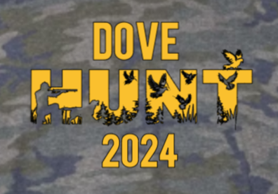 Dove Hunt 2024 tee